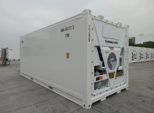 Container Frigorifique 20 Pieds (En Chambre Froide)